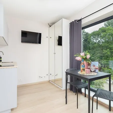 Cozy Studio Apartments Sauna & Ac Krakow By Noclegi Renters Exterior photo