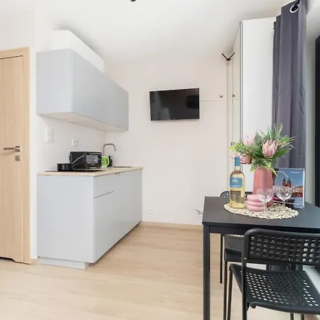 Cozy Studio Apartments Sauna & Ac Krakow By Noclegi Renters Exterior photo